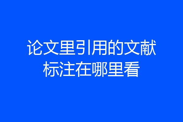 论文里引用的文献标注在哪里看