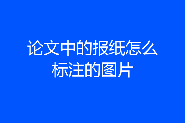 论文中的报纸怎么标注的图片