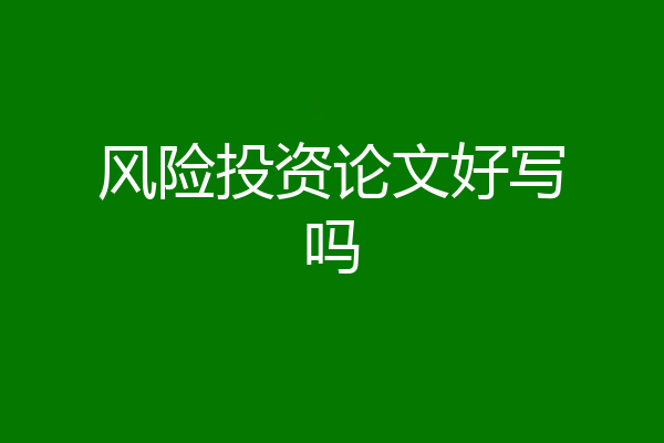风险投资论文好写吗