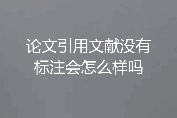 论文引用文献没有标注会怎么样吗