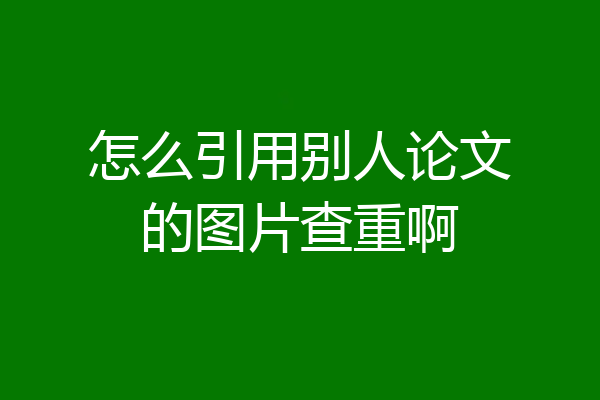怎么引用别人论文的图片查重啊