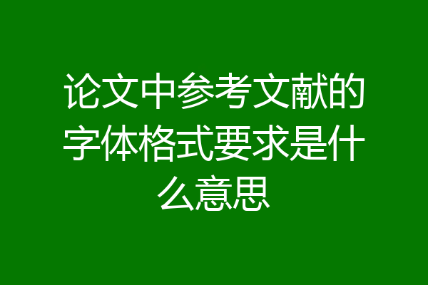 论文中参考文献的字体格式要求是什么意思