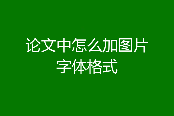 论文中怎么加图片字体格式