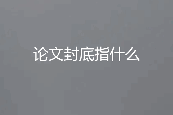 论文封底指什么