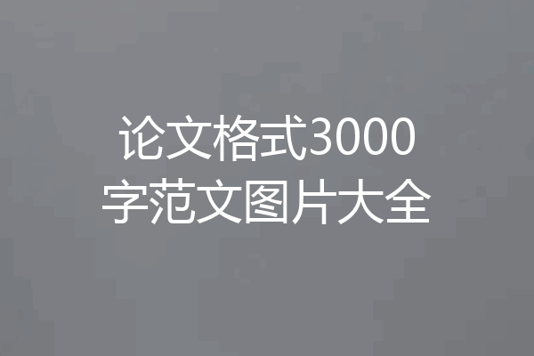 论文格式3000字范文图片大全