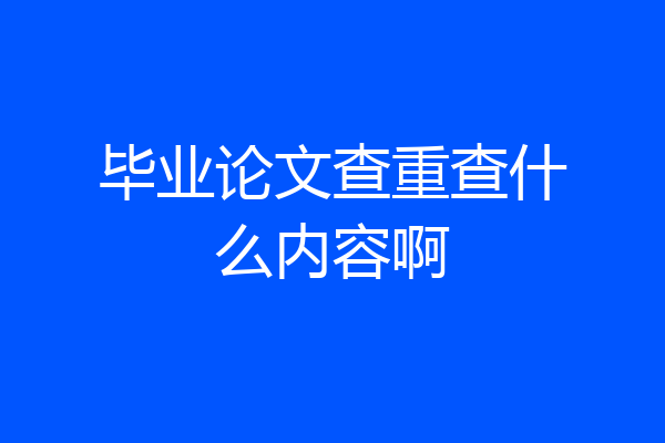 毕业论文查重查什么内容啊