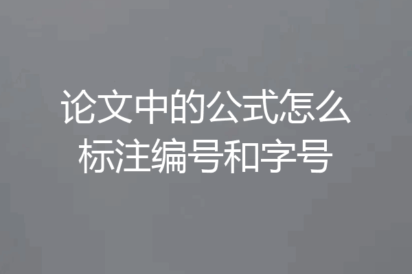 论文中的公式怎么标注编号和字号