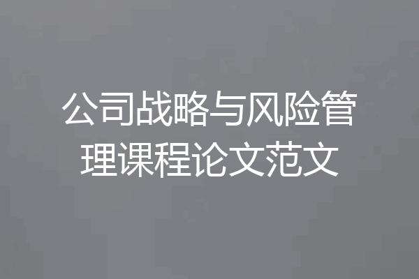 公司战略与风险管理课程论文范文