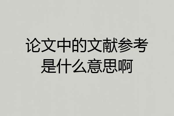 论文中的文献参考是什么意思啊