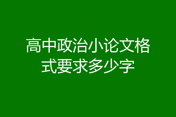 高中政治小论文格式要求多少字