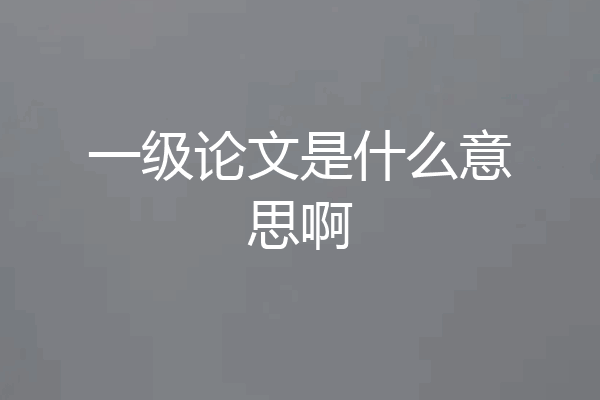 一级论文是什么意思啊