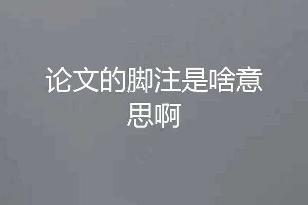 论文的脚注是啥意思啊