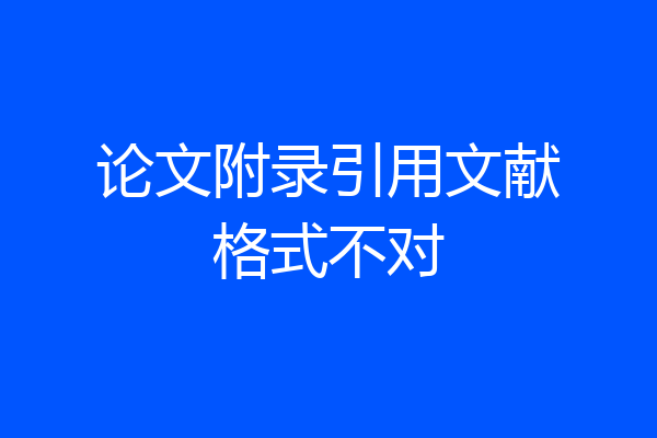 论文附录引用文献格式不对