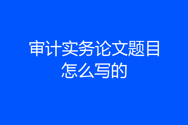 审计实务论文题目怎么写的