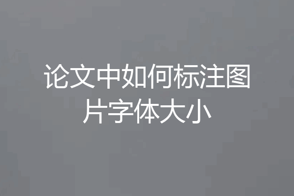 论文中如何标注图片字体大小
