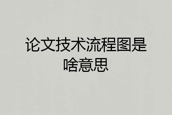 论文技术流程图是啥意思