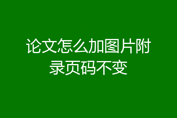 论文怎么加图片附录页码不变
