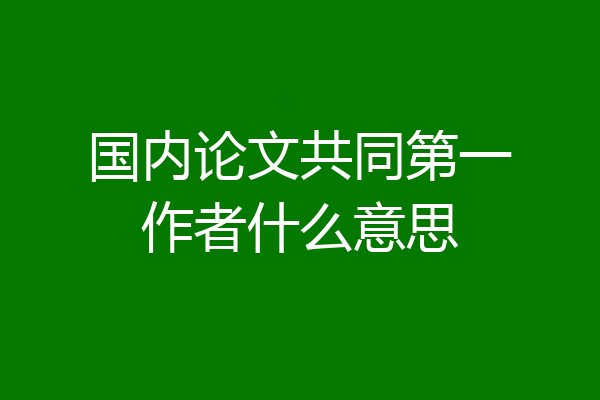国内论文共同第一作者什么意思