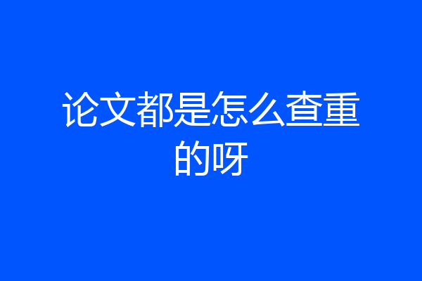 论文都是怎么查重的呀