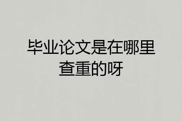 毕业论文是在哪里查重的呀