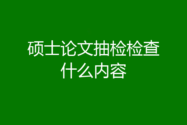 硕士论文抽检检查什么内容