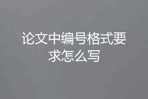 论文中编号格式要求怎么写