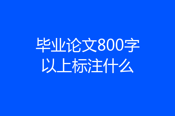 毕业论文800字以上标注什么