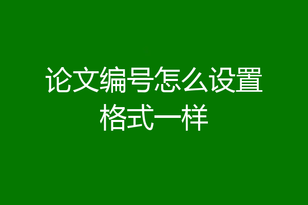 论文编号怎么设置格式一样
