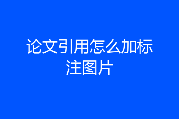 论文引用怎么加标注图片
