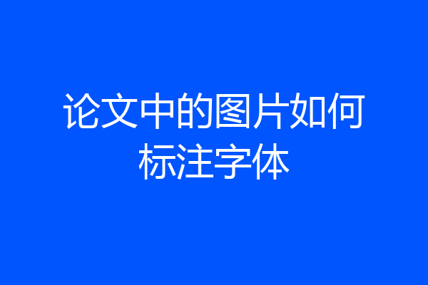 论文中的图片如何标注字体