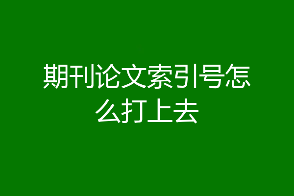 期刊论文索引号怎么打上去