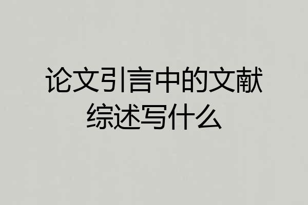 论文引言中的文献综述写什么