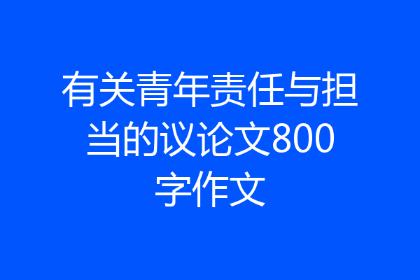 有关青年责任与担当的议论文800字作文