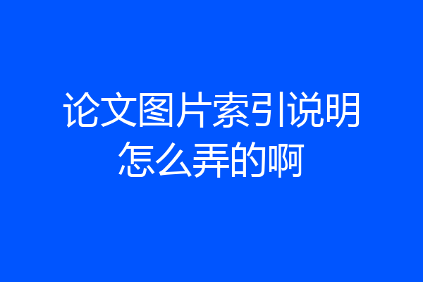 论文图片索引说明怎么弄的啊