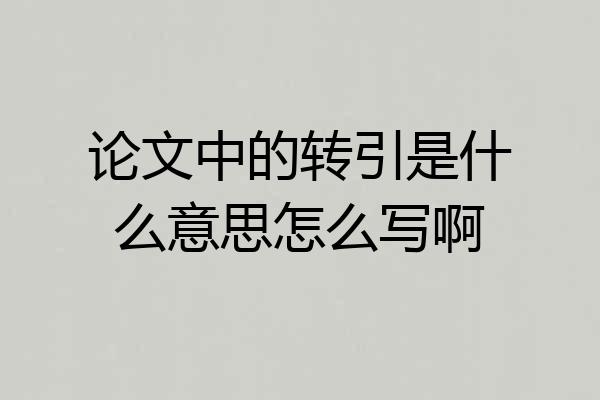论文中的转引是什么意思怎么写啊