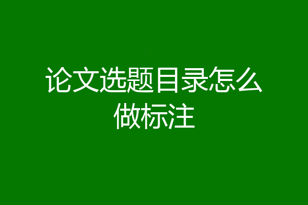 论文选题目录怎么做标注