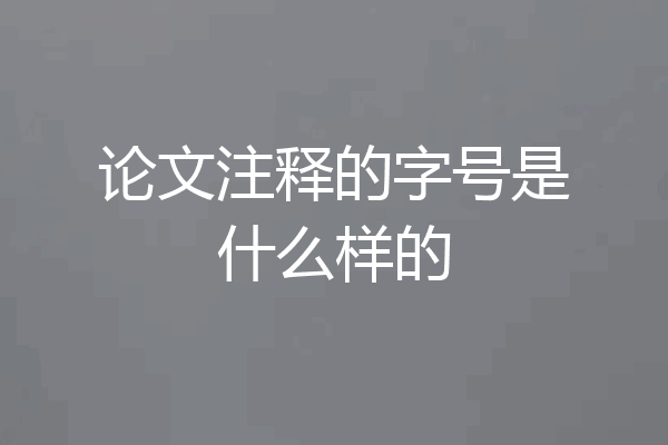 论文注释的字号是什么样的