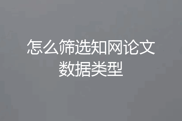 怎么筛选知网论文数据类型