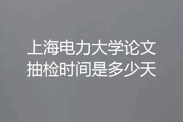 上海电力大学论文抽检时间是多少天