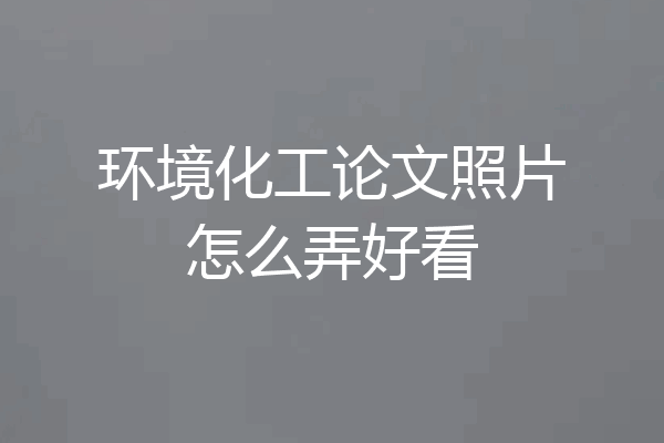 环境化工论文照片怎么弄好看