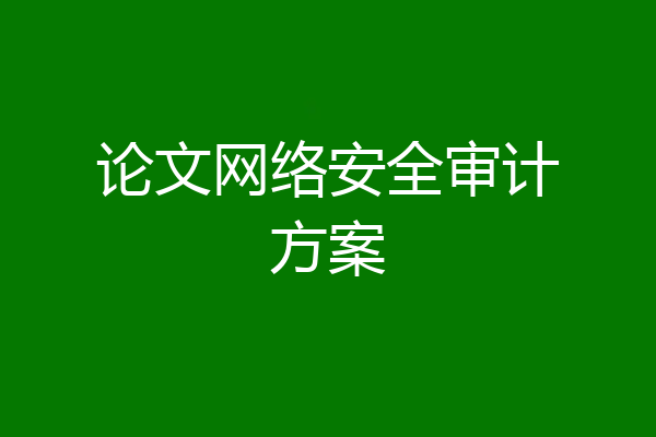 论文网络安全审计方案