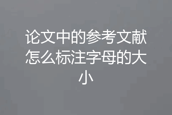 论文中的参考文献怎么标注字母的大小