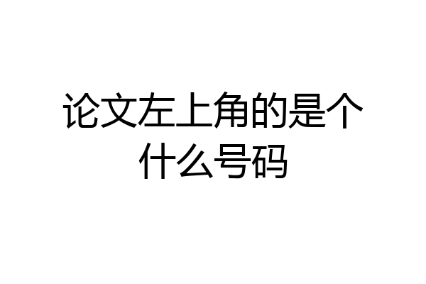 论文左上角的是个什么号码