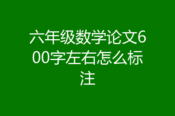 六年级数学论文600字左右怎么标注