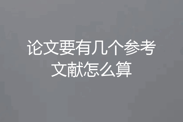 论文要有几个参考文献怎么算