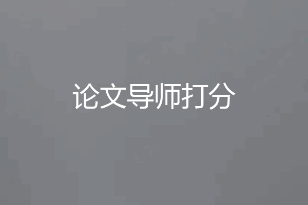 论文导师打分