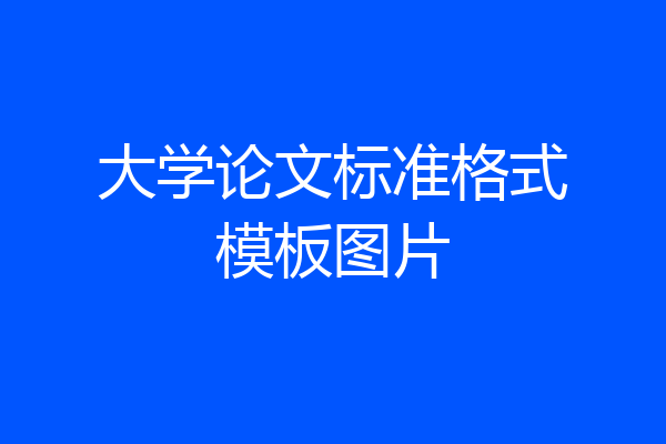 大学论文标准格式模板图片