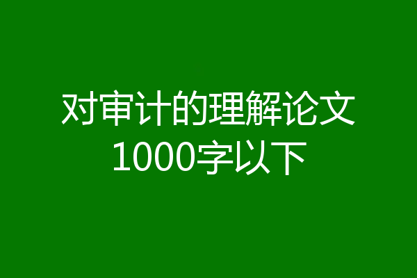 对审计的理解论文1000字以下