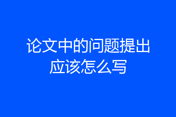 论文中的问题提出应该怎么写
