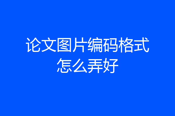 论文图片编码格式怎么弄好